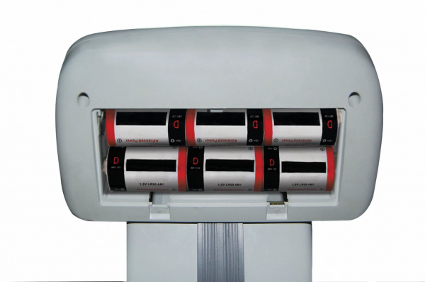 Весы CAS DL-60 купить по низкой цене | МАКСПРОФИТ